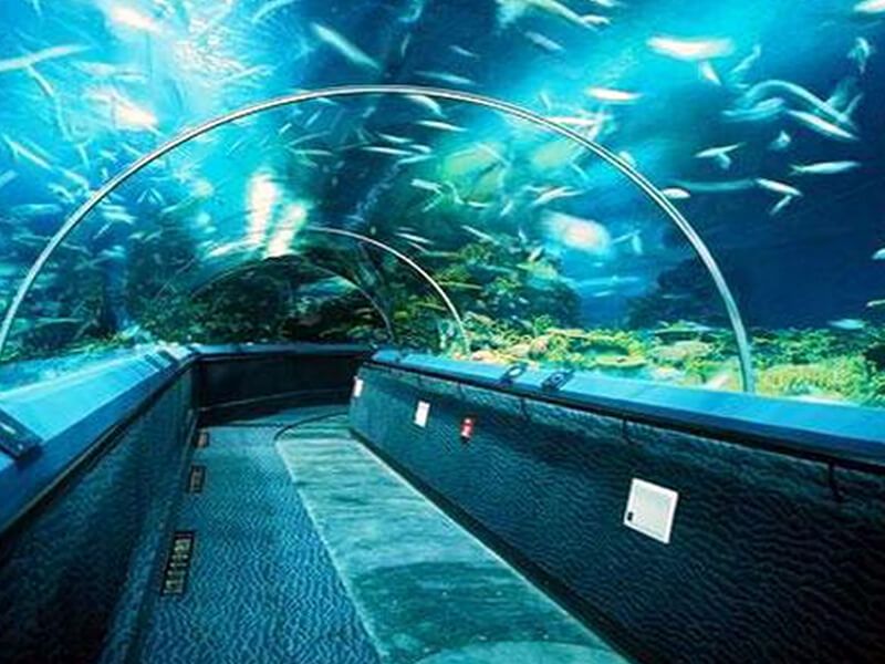 壓克力，打造精彩水族世界